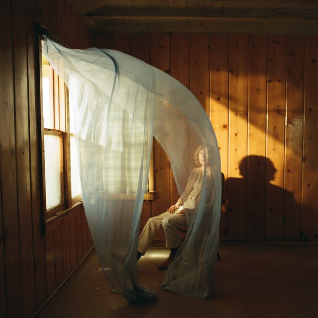 Album cover for In The Night