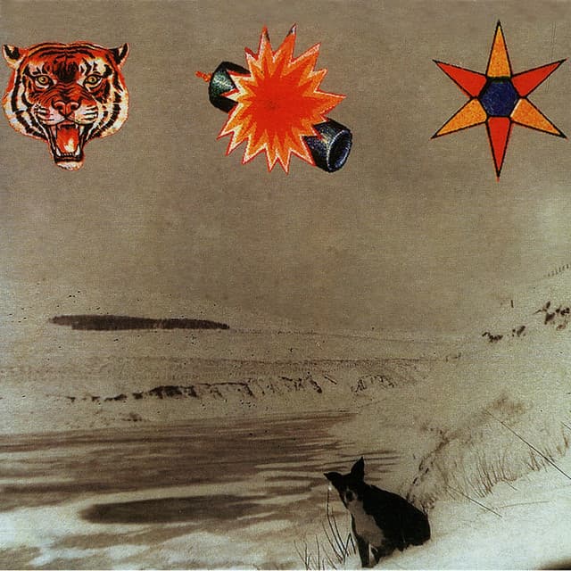 Album cover for Dry the Rain