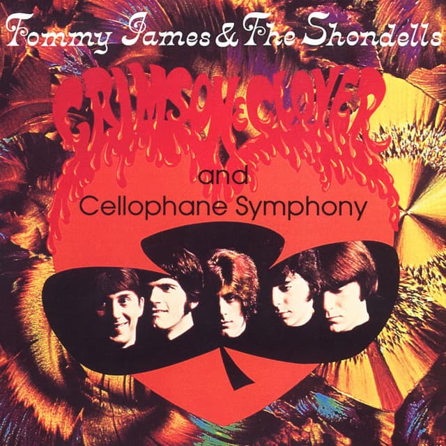 Album cover for Crimson & Clover - Long Version