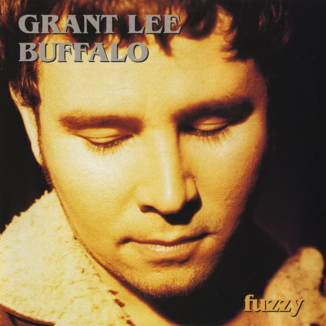 Album cover for Fuzzy